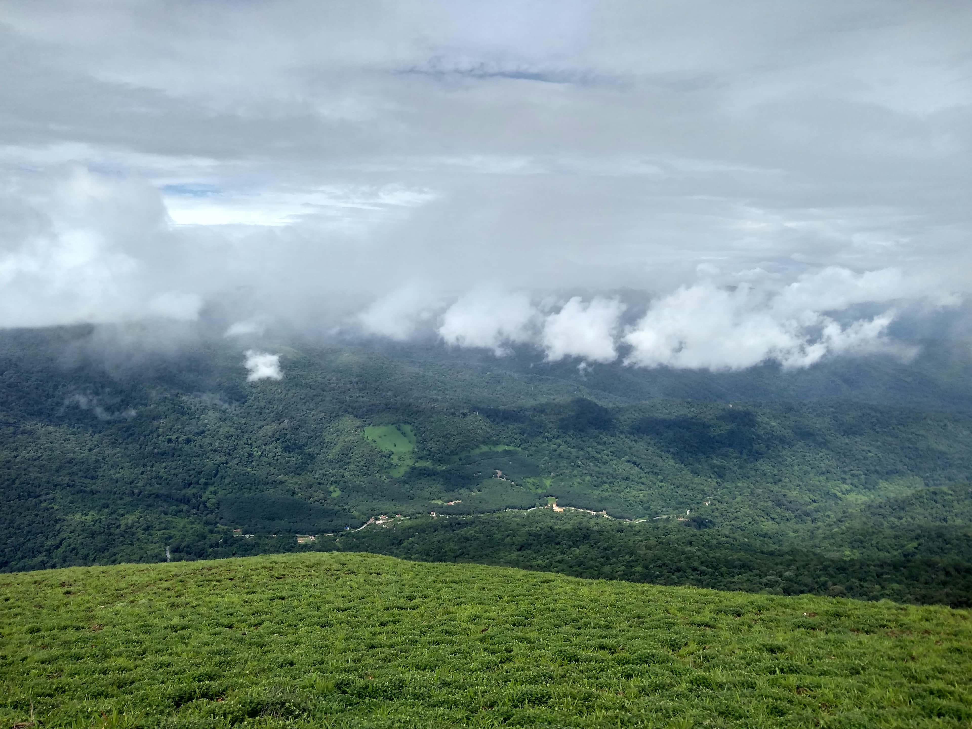 Grassy hills wrapped in cloud, Coorg