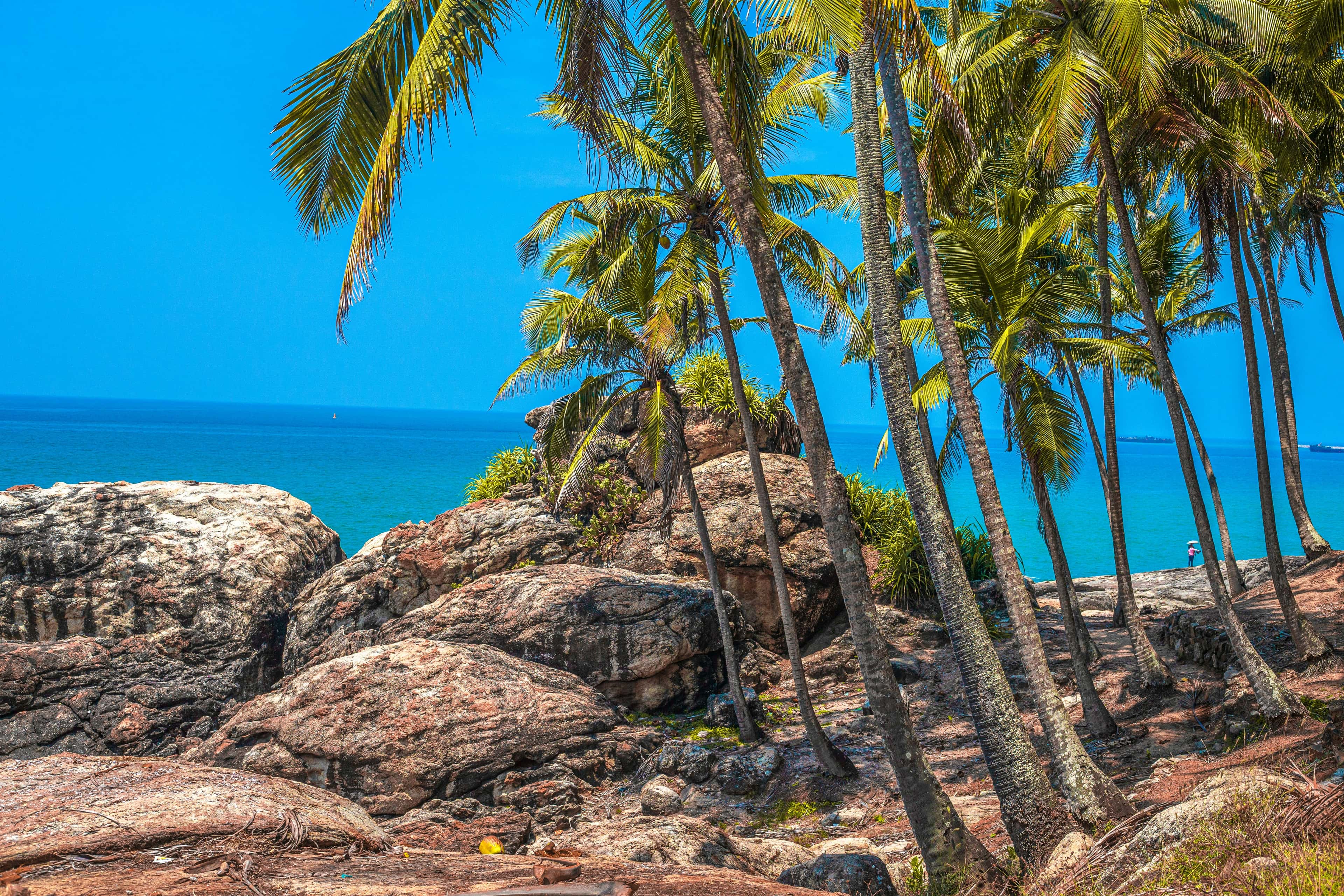 Palm trees framing the Arabian Sea