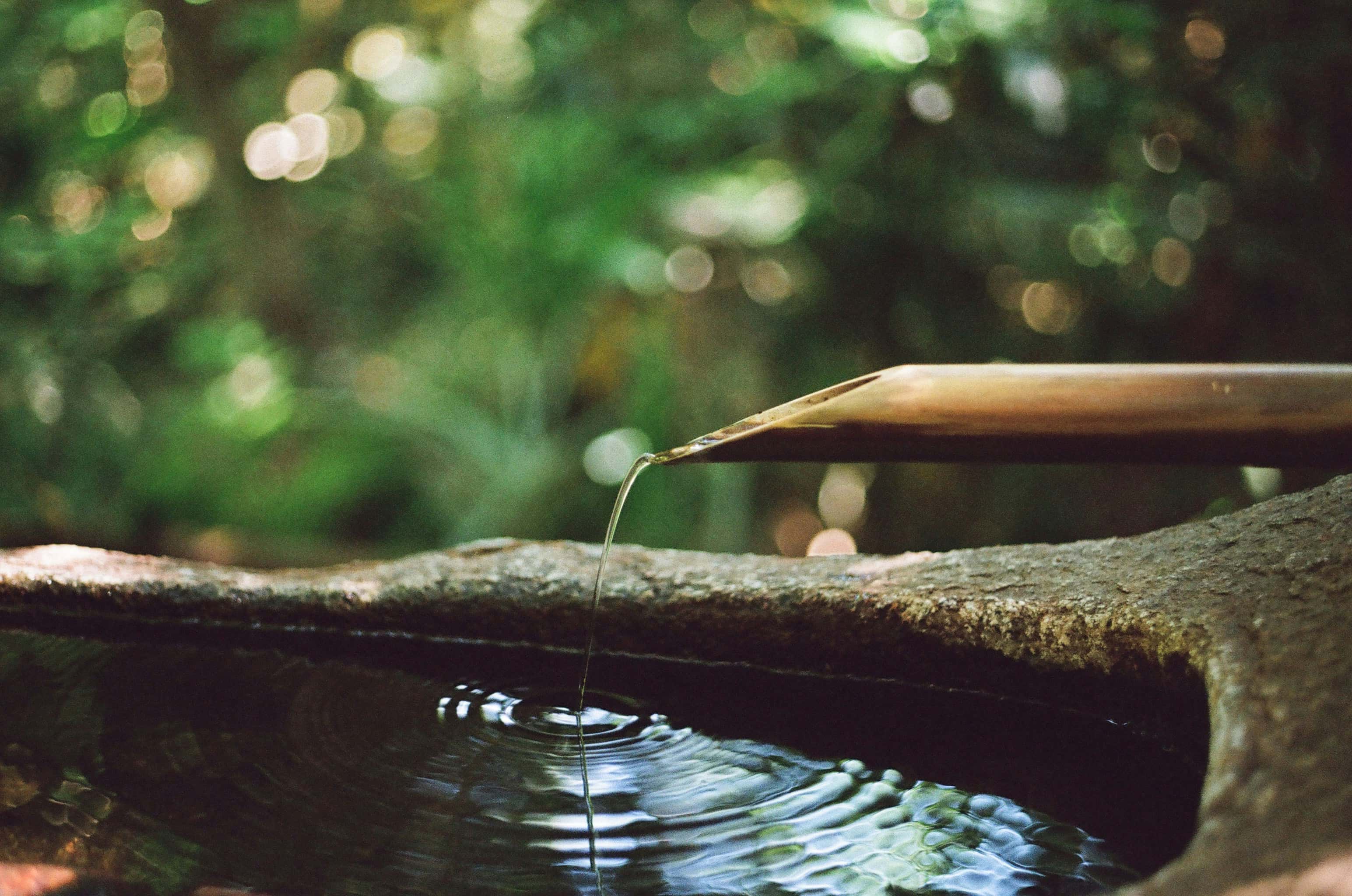 Water dripping from a bamboo spout into a stone basin
