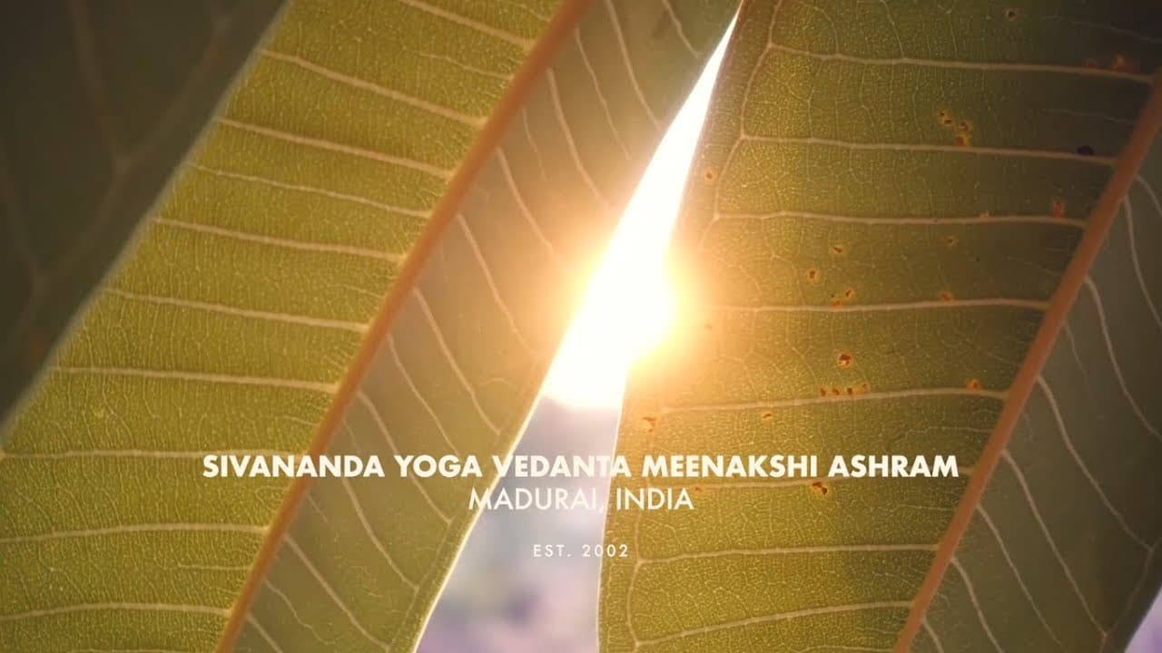 Still from “Sivananda Yoga Vedanta Meenakshi Ashram, Madurai, India”, Sivananda Yoga Vedanta Meenakshi Ashram Madurai’s own video