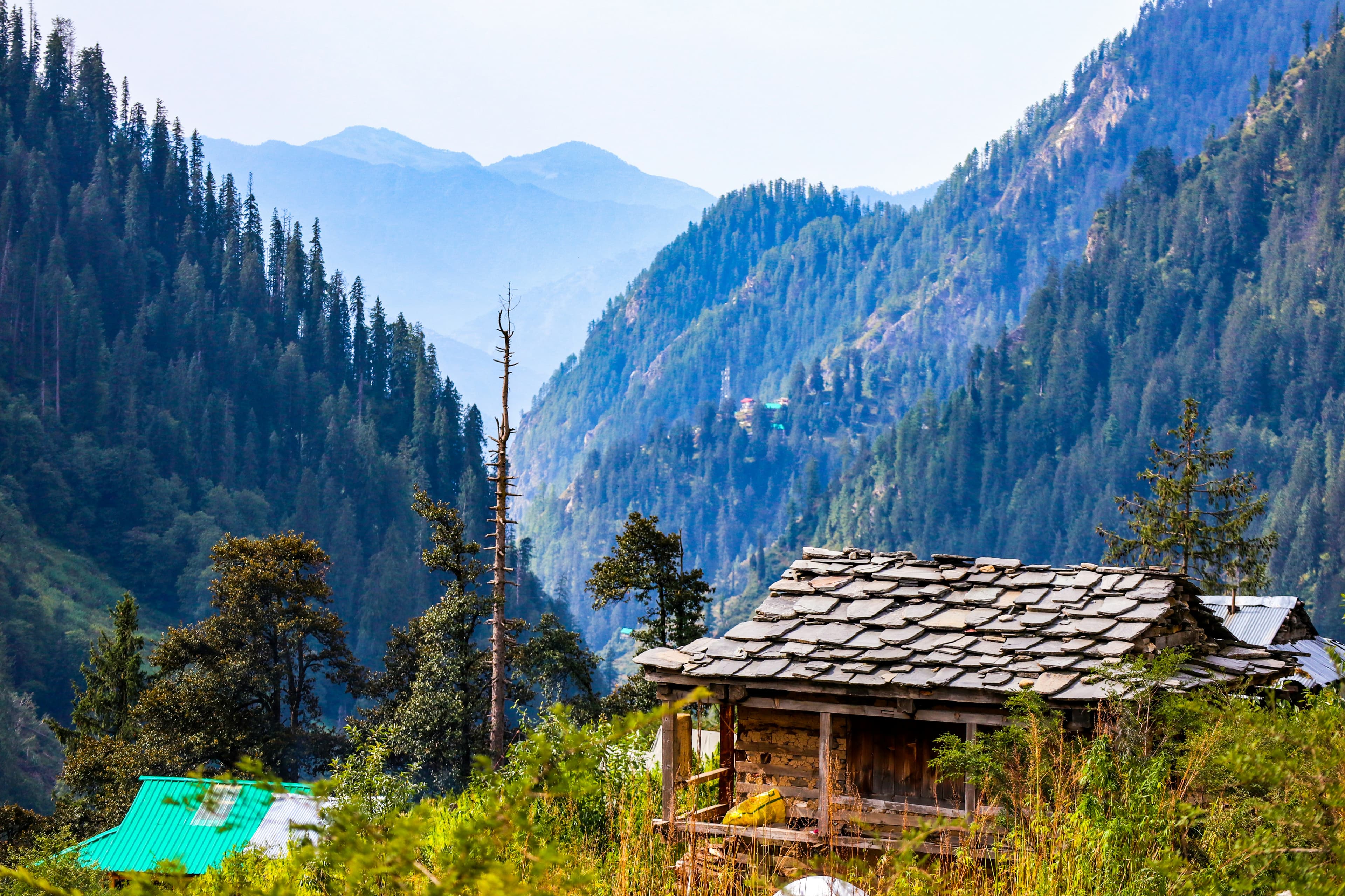 Wooden cabin in a pine valley below the mountains