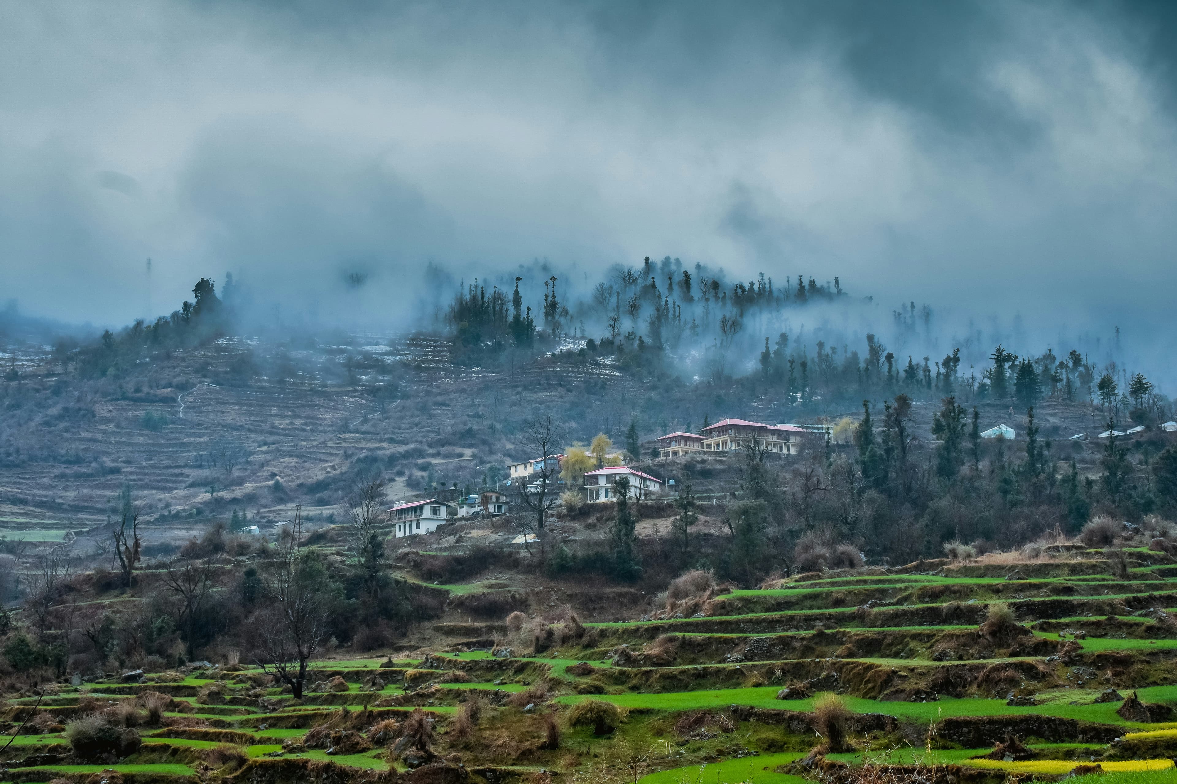 Misty green terraces in the hills