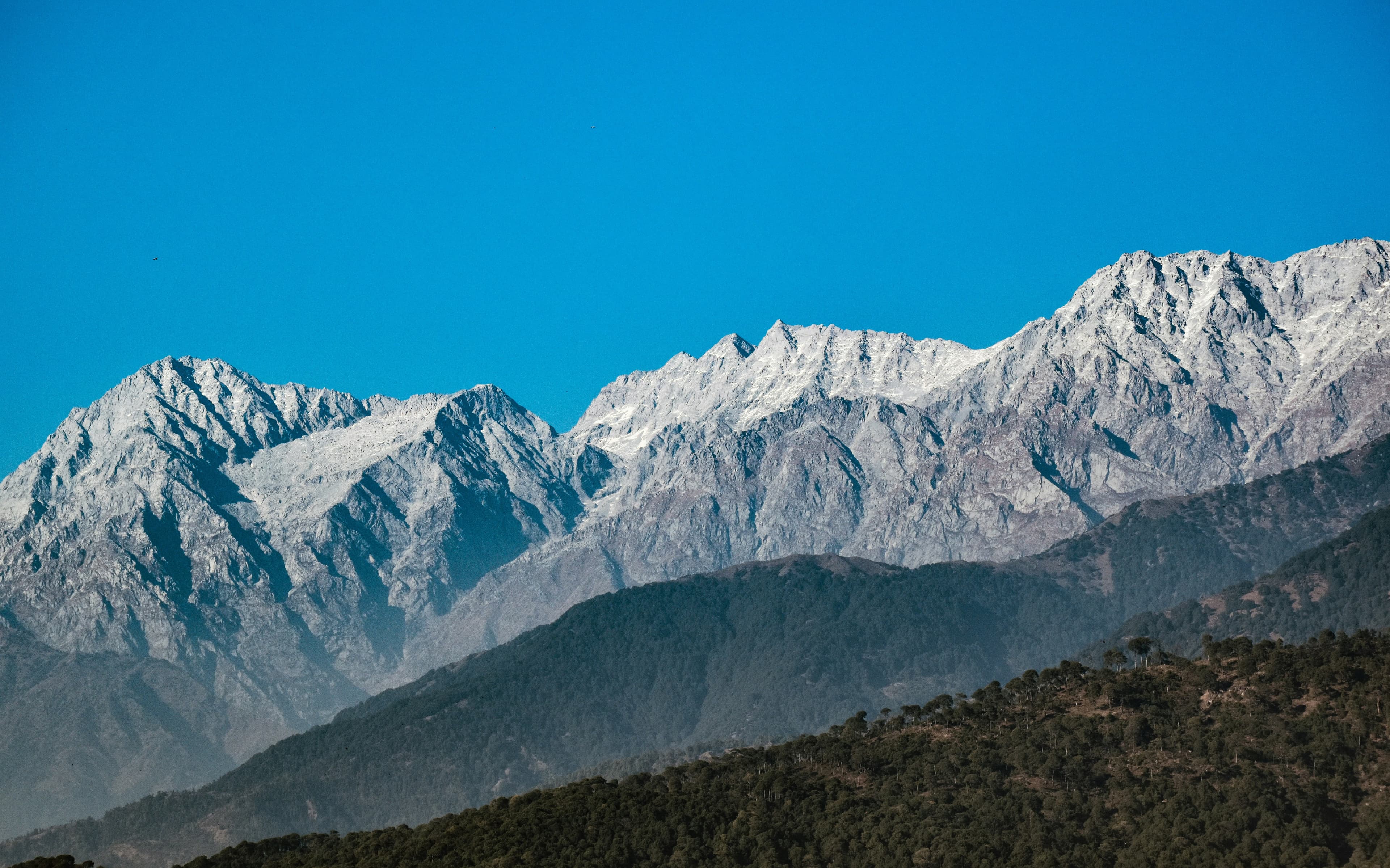 The snowy Dhauladhar range
