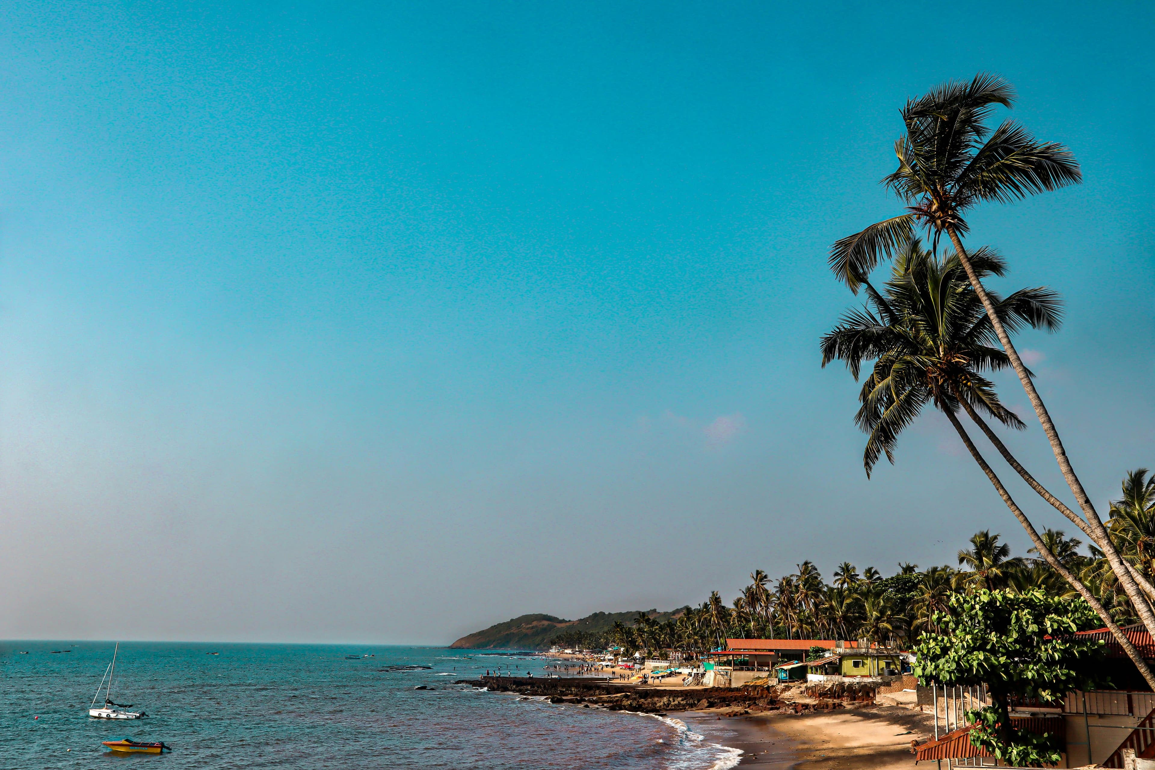 Palm-lined beach with a fishing boat