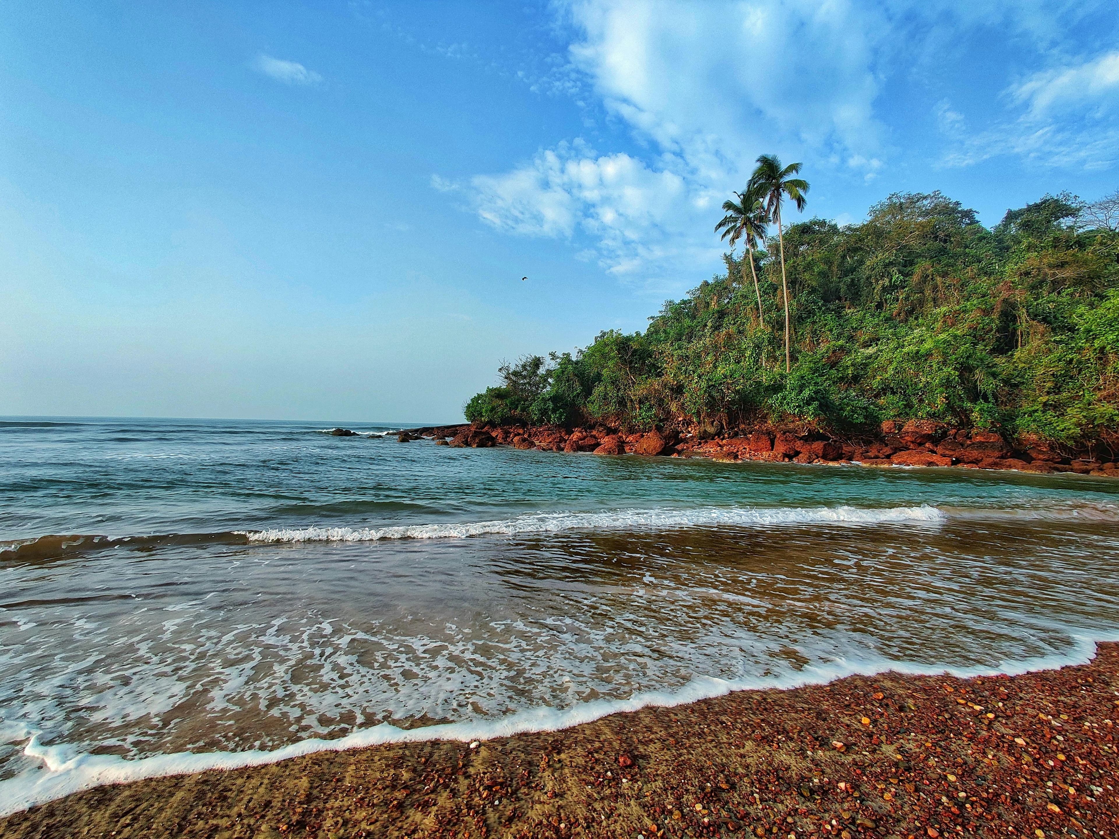 Kerala beach with rocks and coconut palms