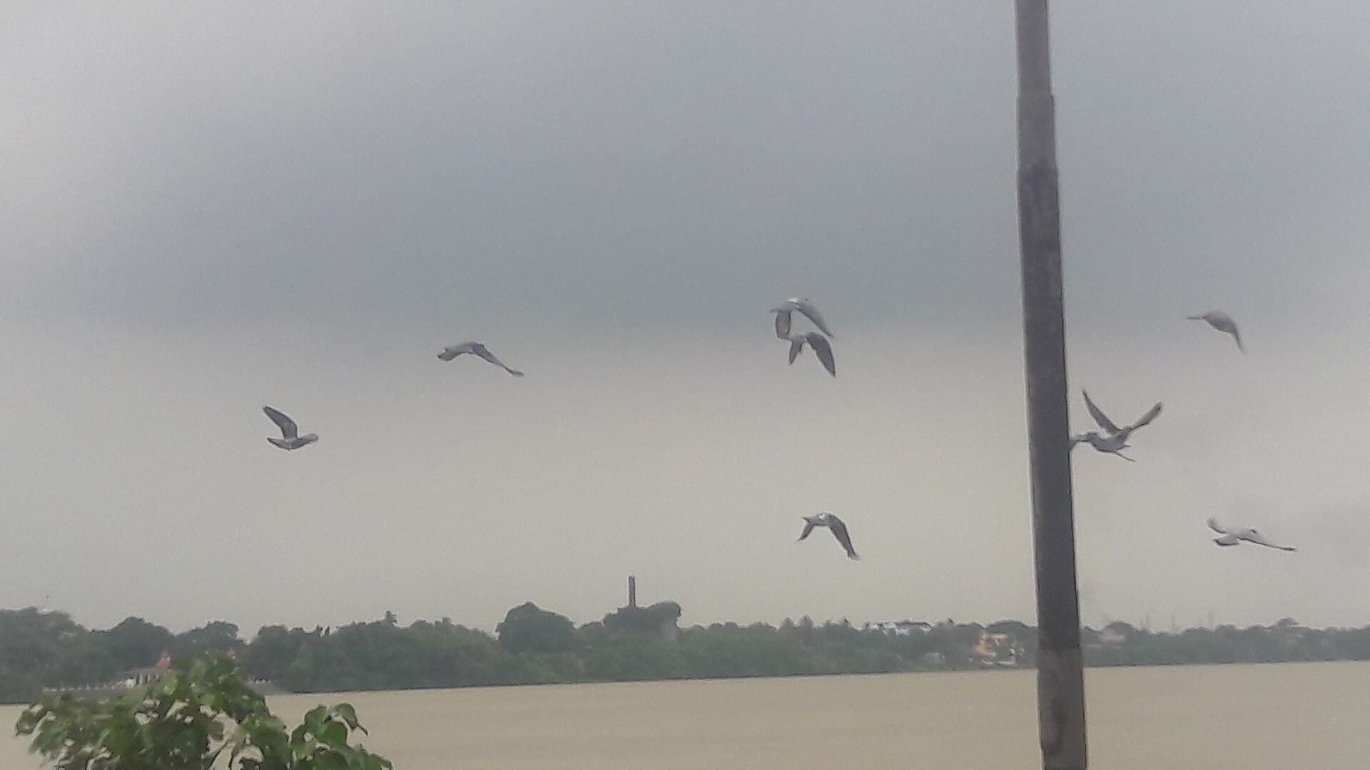 The Hooghly (Ganga) off Sodepur, near the centre, before a storm