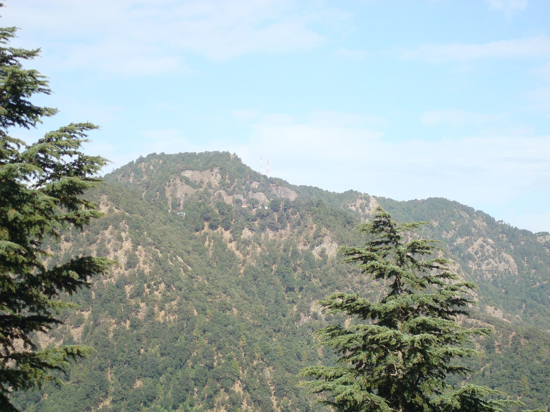 Deodar-dotted hills at Ramgarh in Nainital district