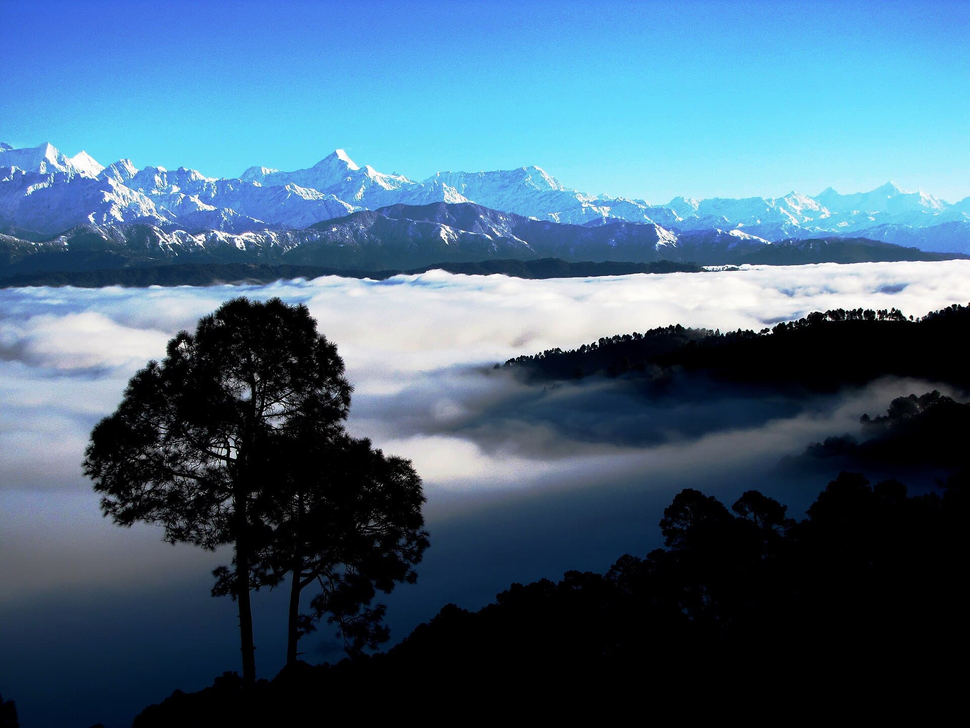 Kumaon peaks above a sea of cloud, seen from Kausani