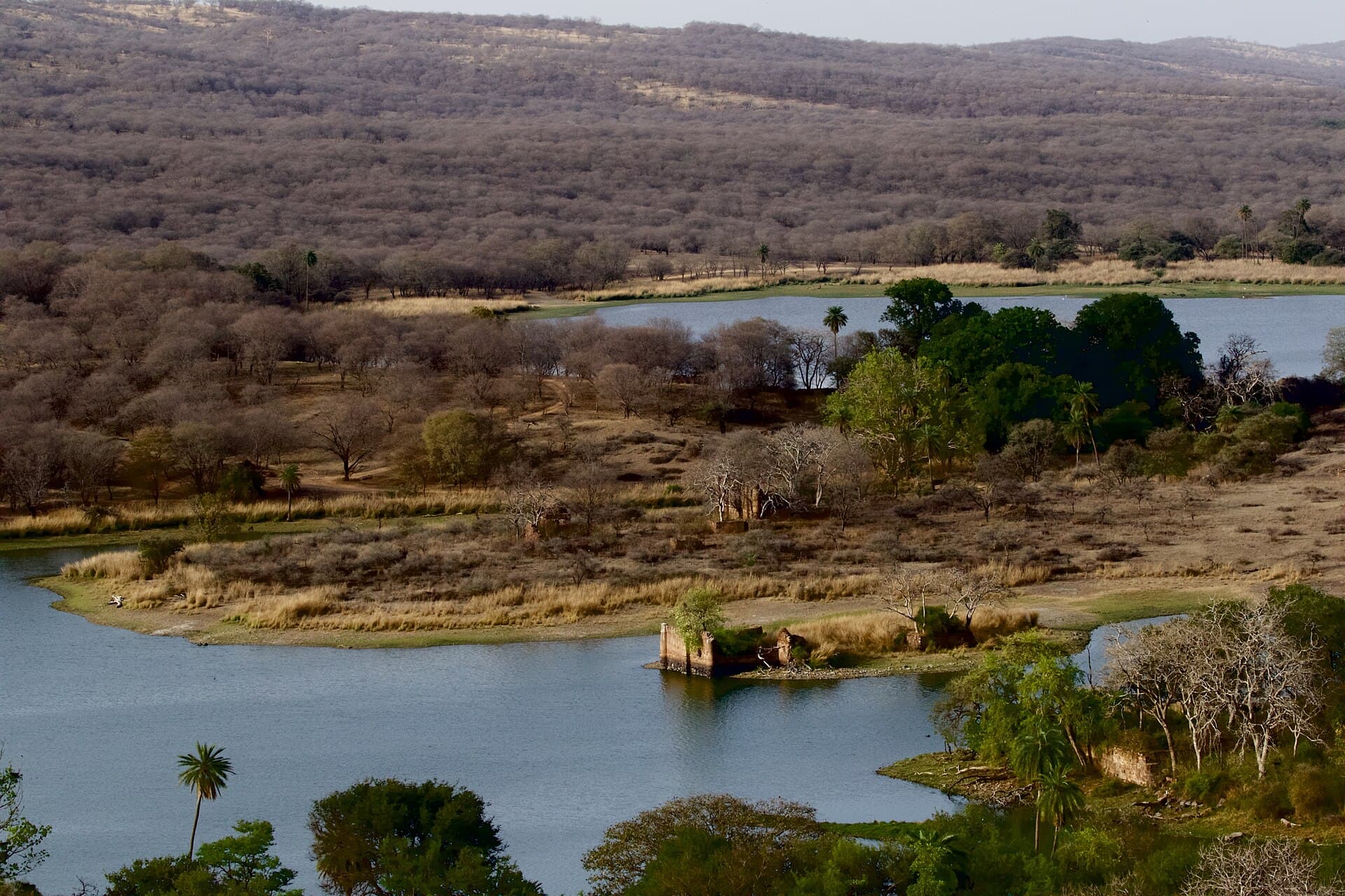 Padam Talao lake seen from Ranthambore Fort
