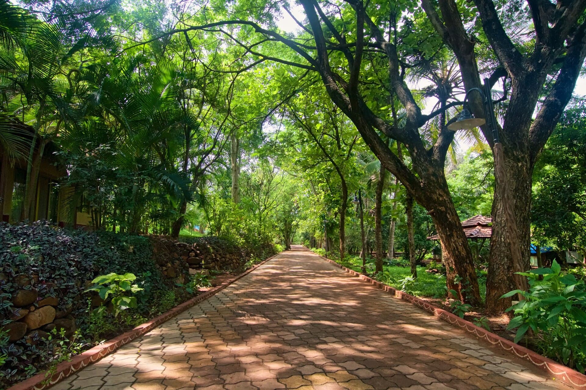Tree-shaded walkway through the Radha Kunj gardens on campus
