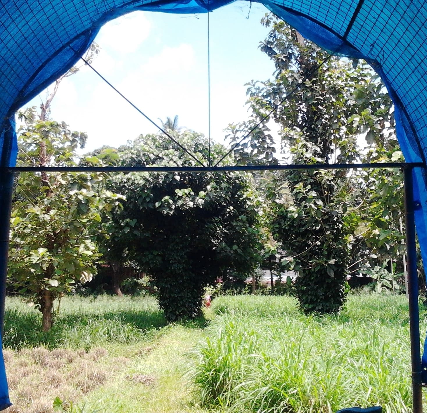 A meditation building set in a green field at Anandashram