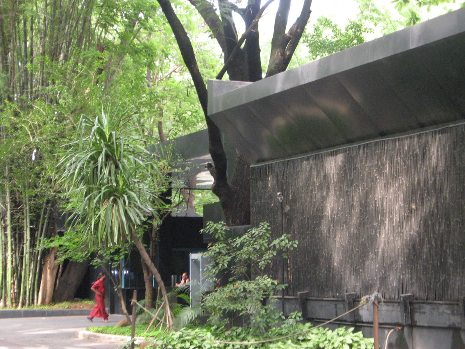 Bamboo and greenery at the Osho International Meditation Resort