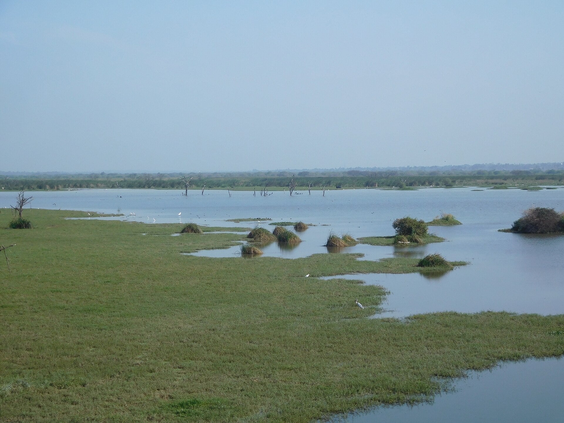 Hoskote lake in the farmland east of Bengaluru