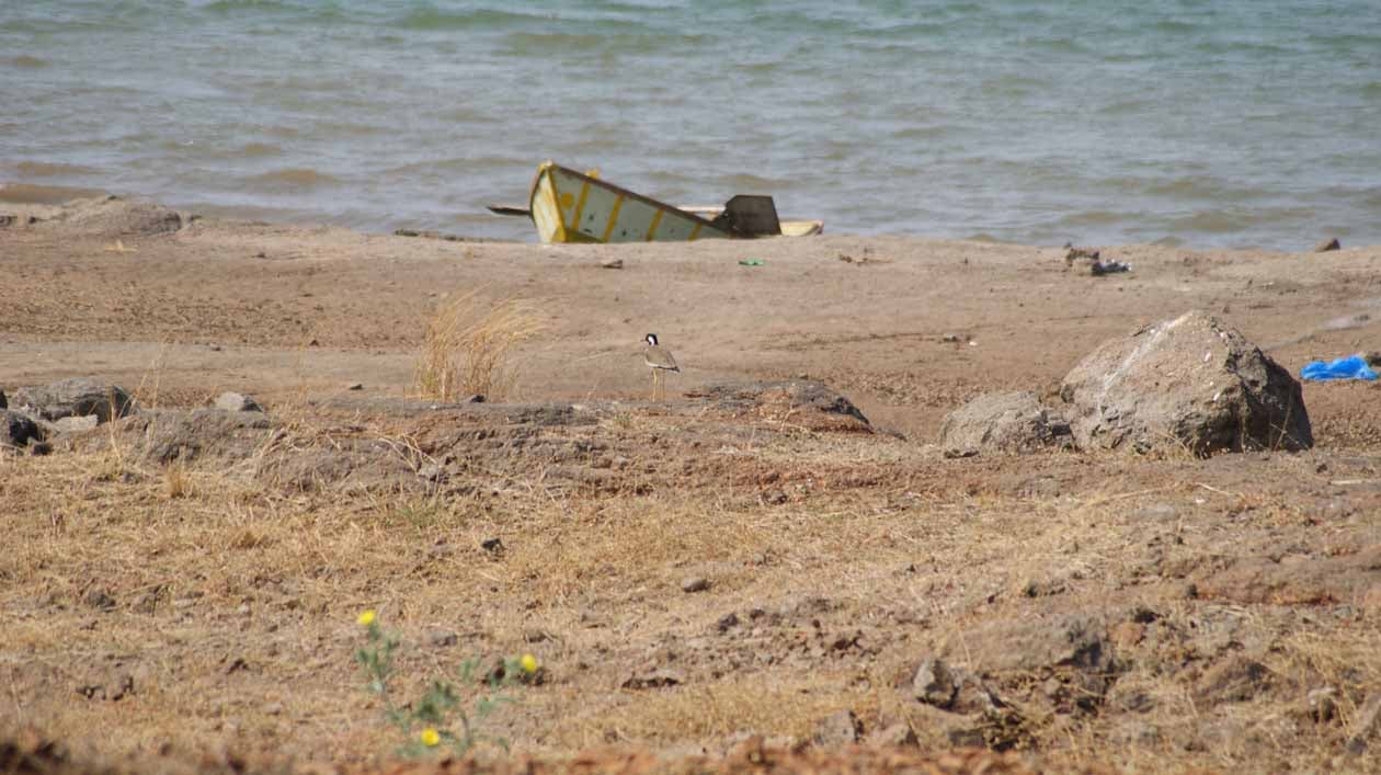 Backwaters of Gangapur Dam, about 3 km from the centre