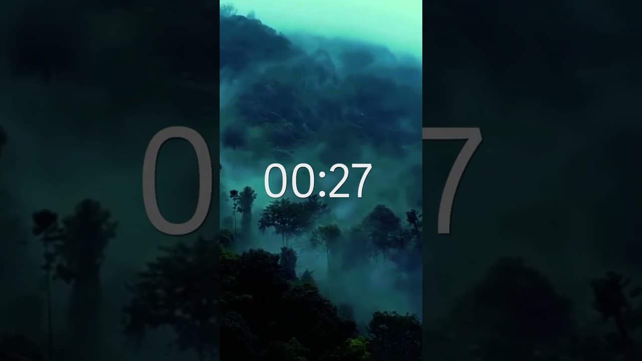 Still from “Experience inner tranquility at Toyam by orchid”, Toyam By Orchid’s own video