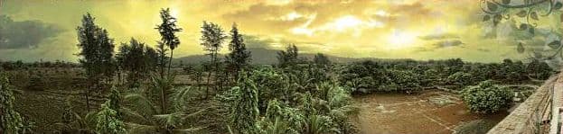 Trees and fields at Govardhan Ecovillage at dusk