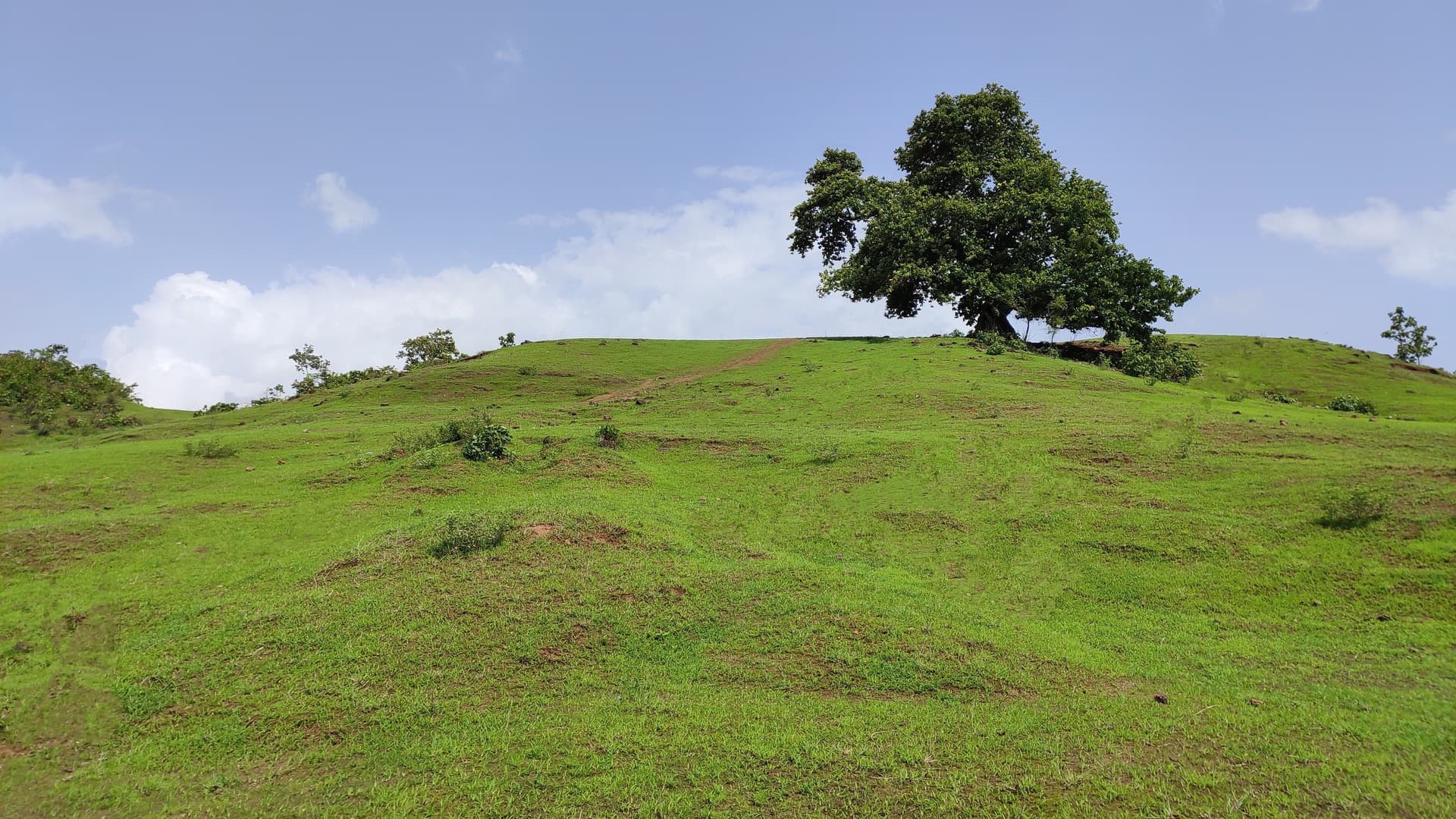Green hills at Bilpuri near Dharampur